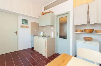 Kuhinja ili čajna kuhinja u objektu Apartman ORLOVAC