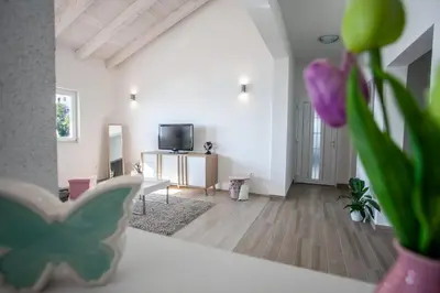 TV i/ili zabavni centar u objektu Luxury Sea View Apartment