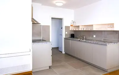 Kuhinja ili čajna kuhinja u objektu Rivus Apartments