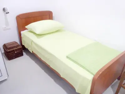 Krevet ili kreveti u jedinici u objektu Pavlić 2