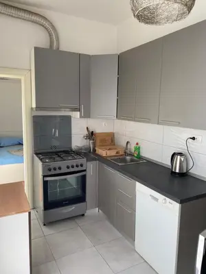 Kuhinja ili čajna kuhinja u objektu Apartment Stipe