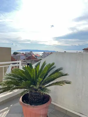 Priroda u blizini apartmana