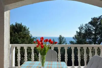 Priroda u blizini apartmana