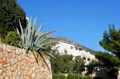 Pogled na planine ili pogled na planine iz apartmana