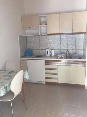 Kuhinja ili čajna kuhinja u objektu Apartmani Atila Damir