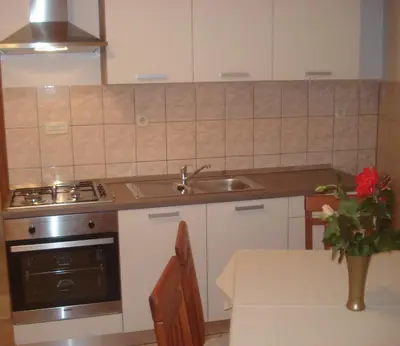 Kuhinja ili čajna kuhinja u objektu Guest House Karević
