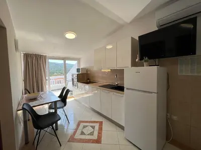 Kuhinja ili čajna kuhinja u objektu Apartments Ana