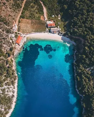 Priroda u blizini apartmana