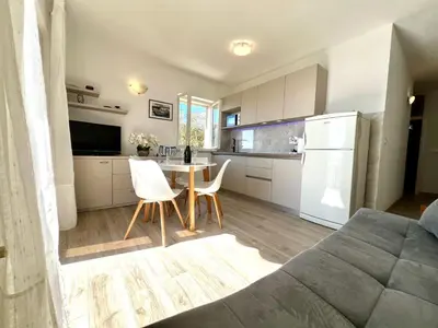 Kuhinja ili čajna kuhinja u objektu Villa Albatros