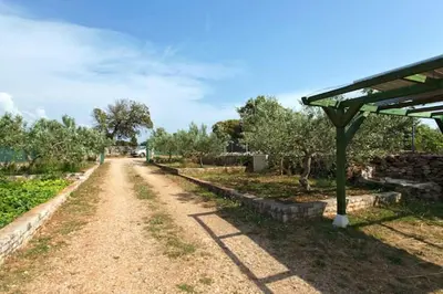 Vrt u objektu Charming Villa in Pučišća + Pool