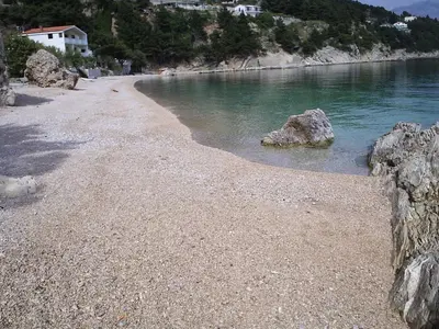 Priroda u blizini apartmana