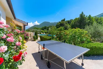 Pogled na planine ili pogled na planine iz vila