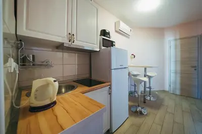 Kuhinja ili čajna kuhinja u objektu Villa Promajna 5