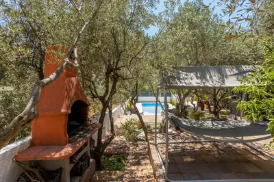 Vrt u objektu Holiday house with a swimming pool Stari Grad, Hvar - 17911