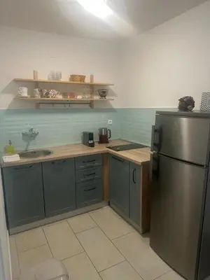 Kuhinja ili čajna kuhinja u objektu Apartments Pina