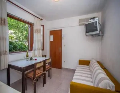 TV i/ili zabavni centar u objektu Apartments and Room Anita