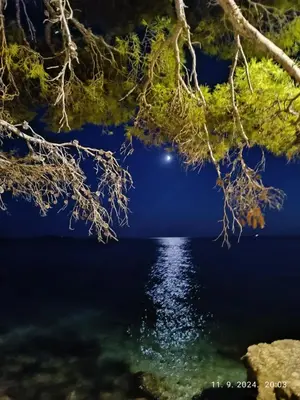 Priroda u blizini apartmana