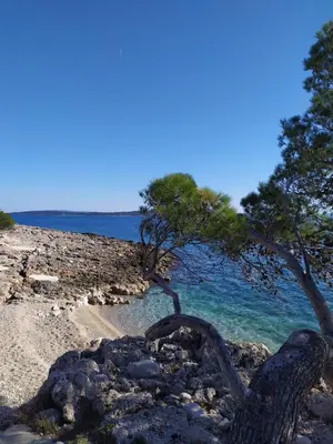 Priroda u blizini apartmana