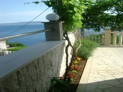Priroda u blizini apartmana