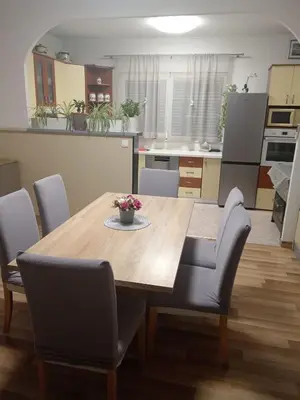 Kuhinja ili čajna kuhinja u objektu Apartmani Bilić
