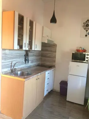 Kuhinja ili čajna kuhinja u objektu Apartments 2 Ivanković