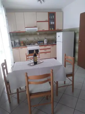 Kuhinja ili čajna kuhinja u objektu Apartments Soljacic