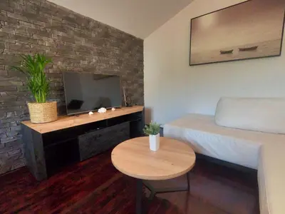 TV i/ili zabavni centar u objektu Lifestyle apartment Podstrana