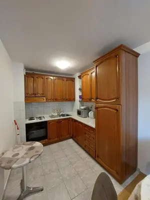 Kuhinja ili čajna kuhinja u objektu Apartman Mira