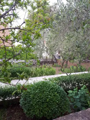 Vrt u objektu La Petite Maison