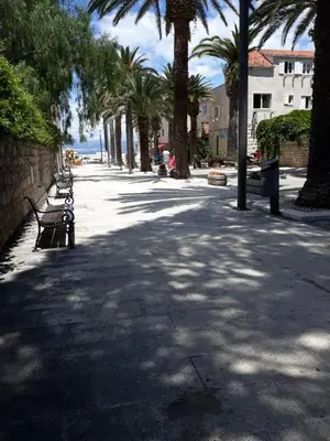 Okolica apartmana ili susjedstvo u blizini