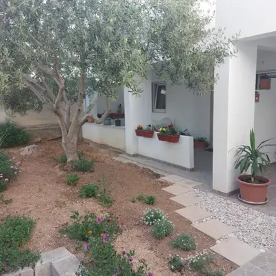 Apartments Savica