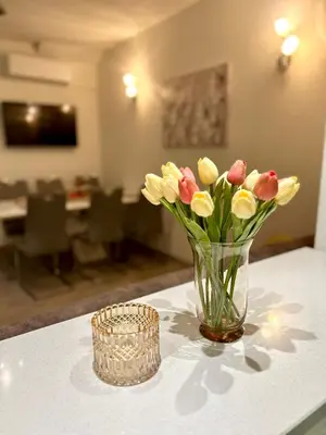 TV i/ili zabavni centar u objektu Apartman Zorka