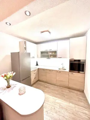 Kuhinja ili čajna kuhinja u objektu Apartman Zorka