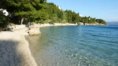 Priroda u blizini apartmana