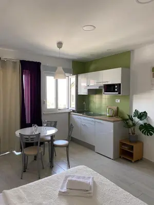 Kuhinja ili čajna kuhinja u objektu Apartments Adria