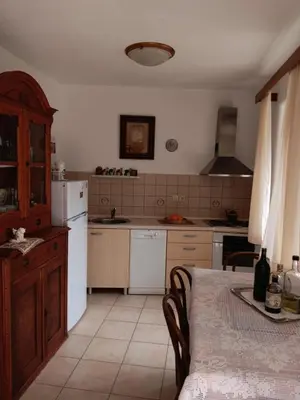 Kuhinja ili čajna kuhinja u objektu Guest House Lucijo