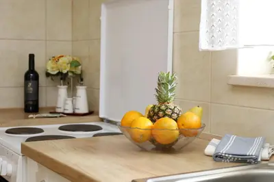 Kuhinja ili čajna kuhinja u objektu Apartment Pojatica Sumartin