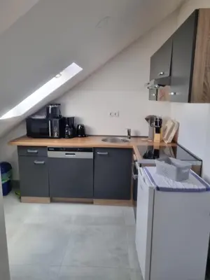 Kuhinja ili čajna kuhinja u objektu Villa Marija