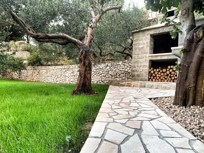 Vrt u objektu Villa AMore Brela