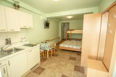 Kuhinja ili čajna kuhinja u objektu Apartments Perkušić