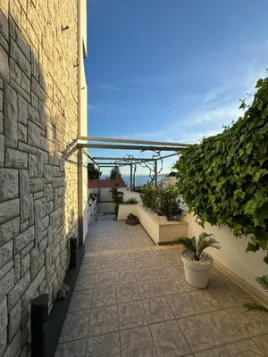 Vrt u objektu VILLA ŠIMOVIĆ APARTMENTS