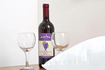 Pića u objektu Apartments Vinka