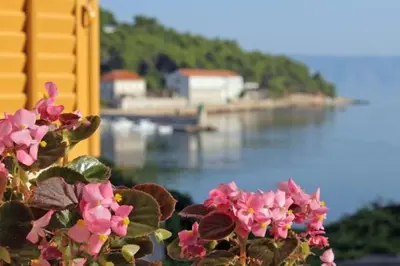 Priroda u blizini apartmana