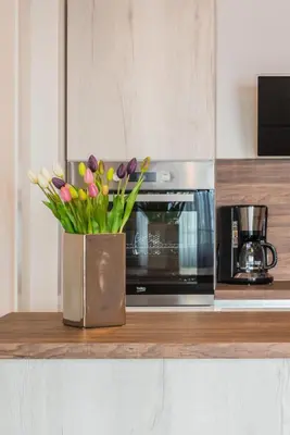 Kuhinja ili čajna kuhinja u objektu Apartment Olijfboom