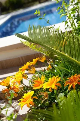 Bazen u objektu Apartments Šemper - HEATED POOL ili u blizini