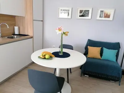 Kuhinja ili čajna kuhinja u objektu Apartman Ružica