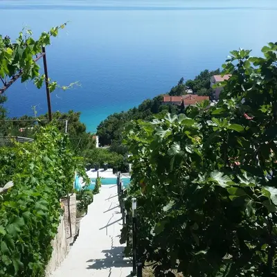 Priroda u blizini apartmana