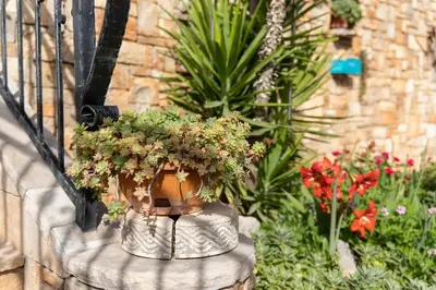 Vrt u objektu Villa Sun Garden - 4 star villa with heated swimming pool, quiet bay, BBQ, 50m from the sea