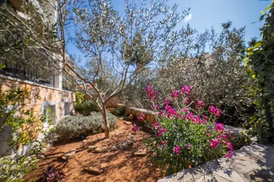 Vrt u objektu Villa Sun Garden - 4 star villa with heated swimming pool, quiet bay, BBQ, 50m from the sea
