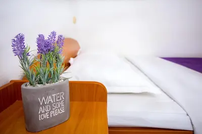 Krevet ili kreveti u jedinici u objektu AGA beach suites